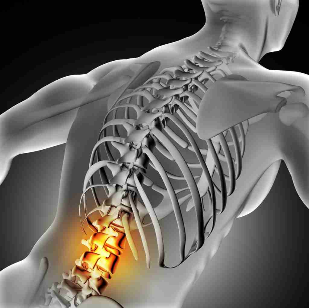 Artrodesi l4-l5-s1 e percentuale di invalidità inail; con approfondimenti anche sulla Spondilolistesi e sulla Discopatia.
